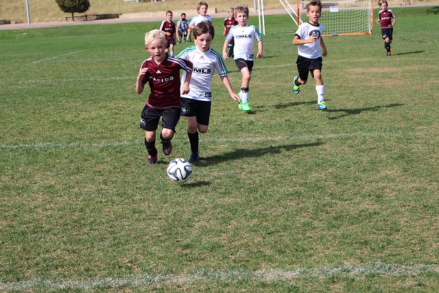 會表現評級 會表現評級