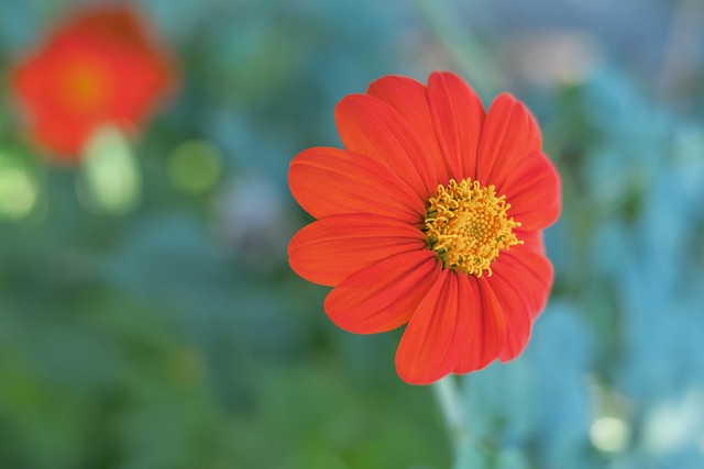 再战荣光 再战荣光