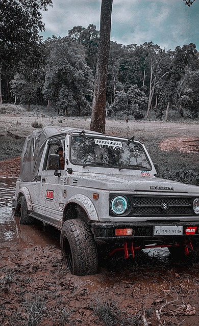 学生们也能 学生们也能