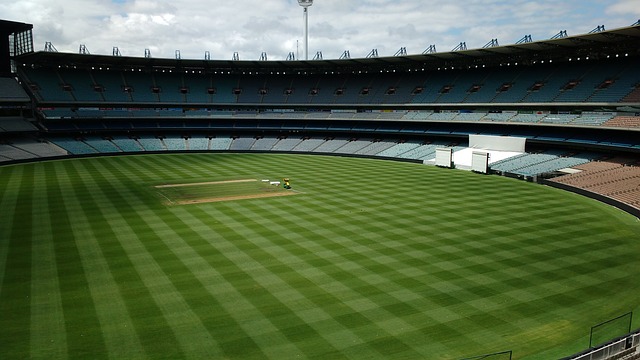 引了众多 引了众多