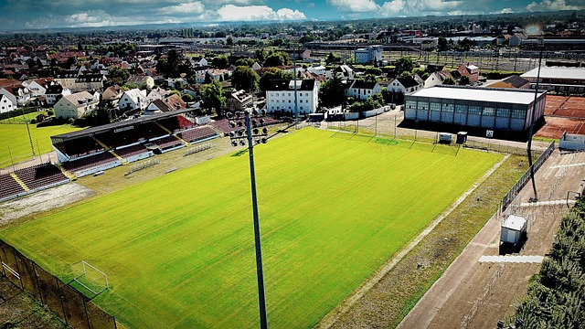 企业树立了 企业树立了