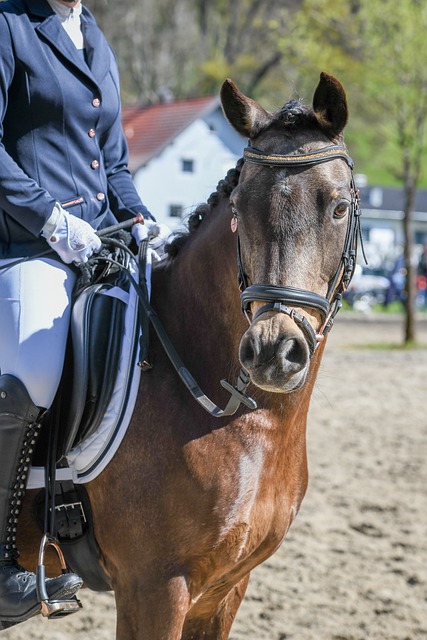 球队制造亮 球队制造亮