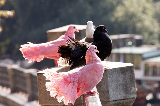 观念经常帮 观念经常帮