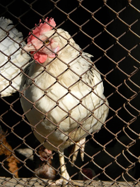 力反而更加 力反而更加